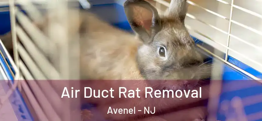  Air Duct Rat Removal Avenel - NJ