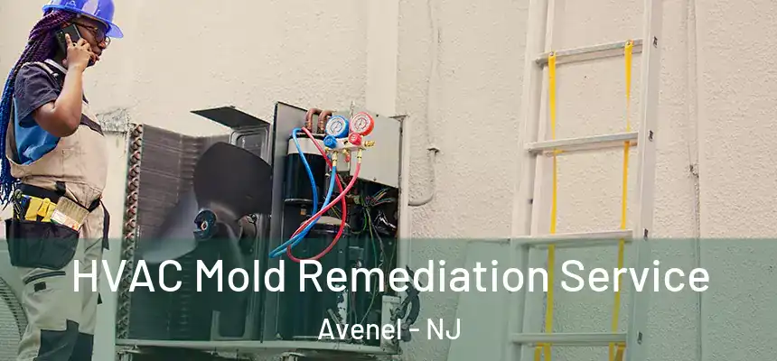  HVAC Mold Remediation Service Avenel - NJ