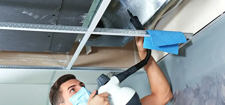 Our Air Duct Rodent Removal Services in Avenel, NJ