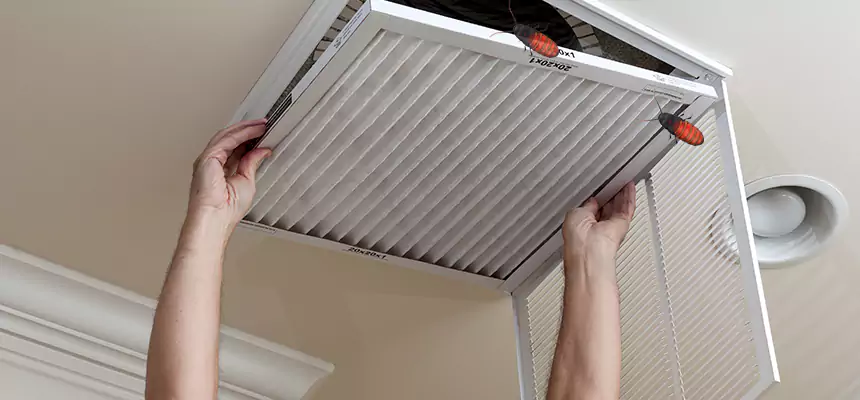 Our Insect Removal from Air Ducts Services in Avenel, NJ