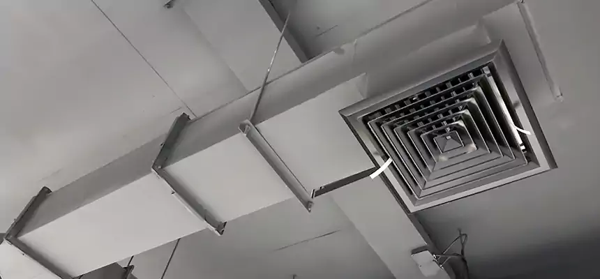 Our Rodent Droppings In Vents Services in Avenel, NJ