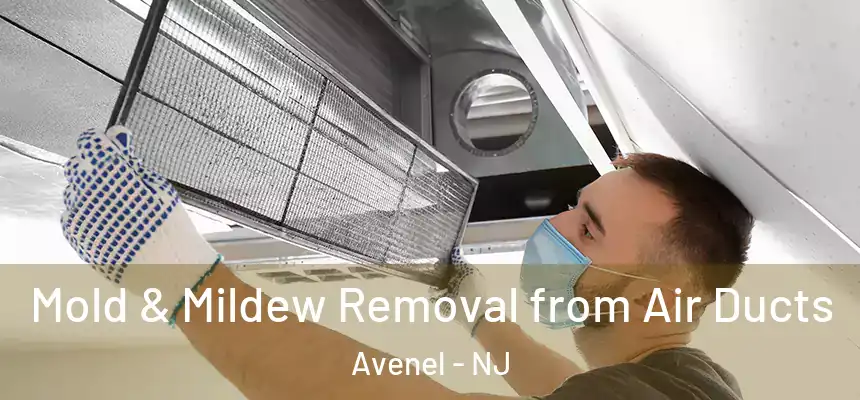  Mold & Mildew Removal from Air Ducts Avenel - NJ