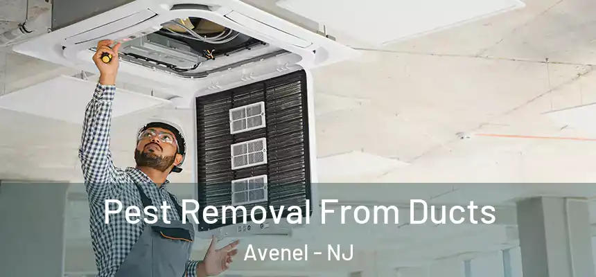  Pest Removal From Ducts Avenel - NJ