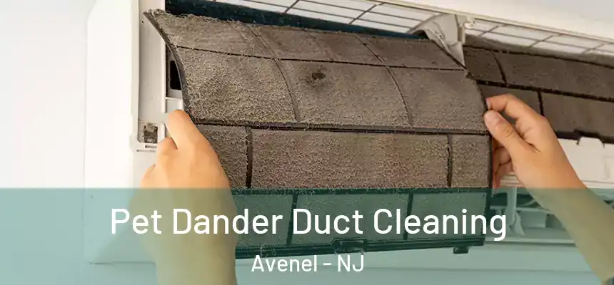  Pet Dander Duct Cleaning Avenel - NJ