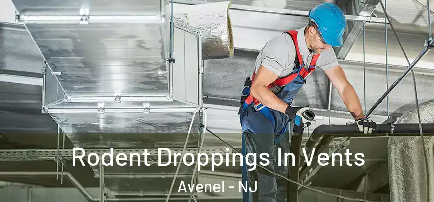  Rodent Droppings In Vents Avenel - NJ