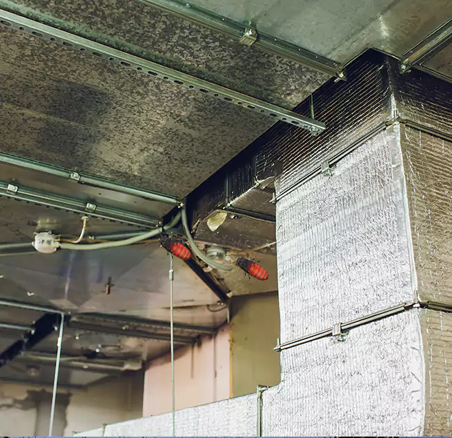 Why Homeowners & Businesses Trust Us in Avenel, NJ?