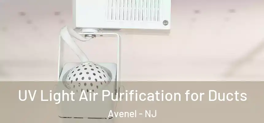  UV Light Air Purification for Ducts Avenel - NJ